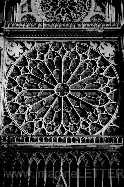 Wall_Art_Alphabet_Photography_Art_ 1630.jpg